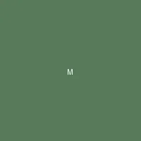 墨夜 (Midnight Ink) - 蛙漫 创作者头像